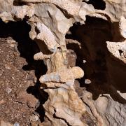 Aubert 2