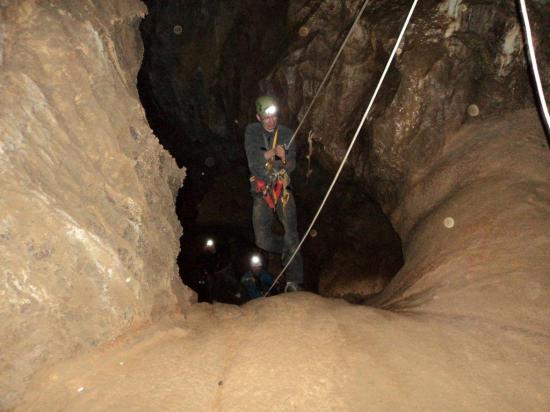 HAUT DE LA MEDUSE