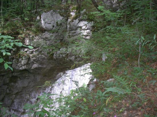 RAKOV SKOCJAN