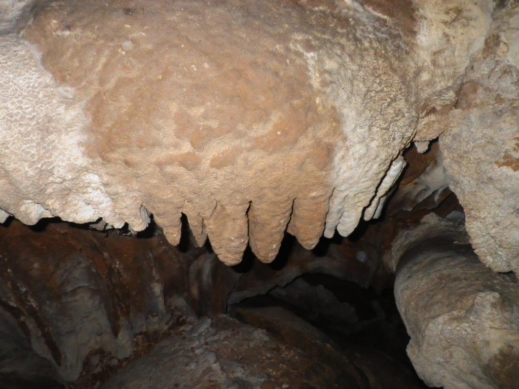 GROTTE AUX CHAMPIGNONS