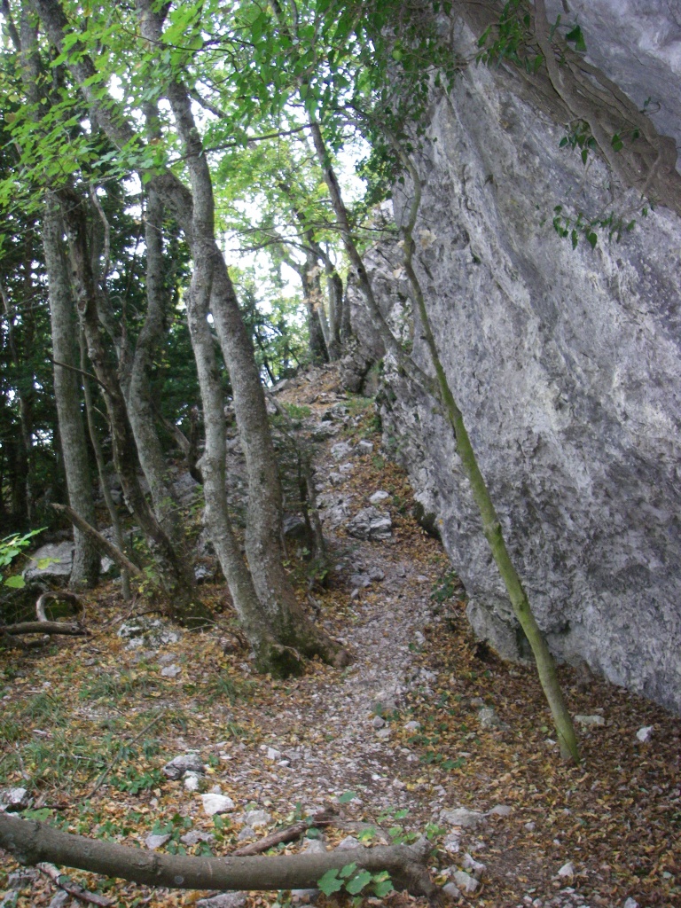 corniche estruch st baume