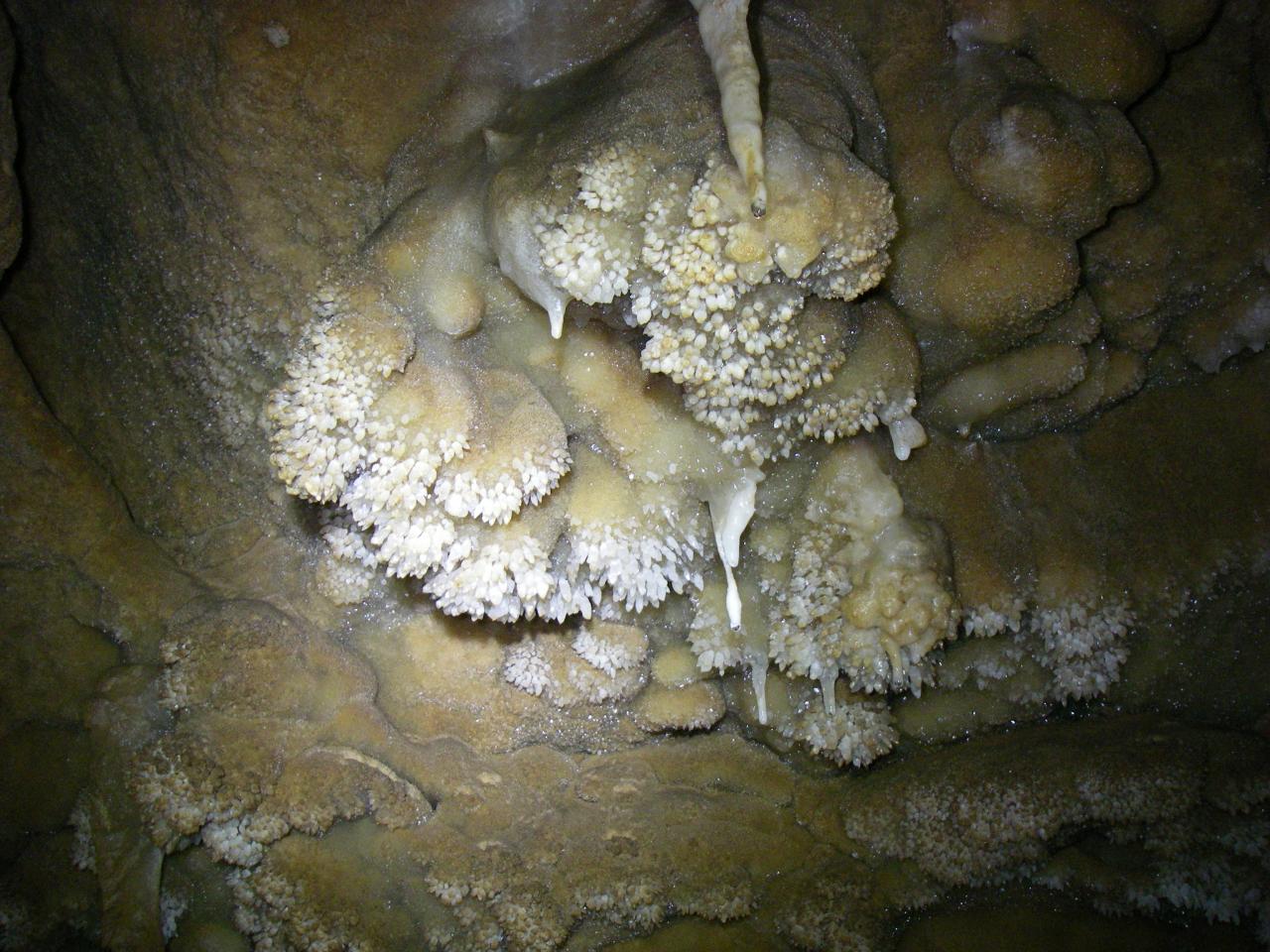 initiation à la spéléologie grotte de saint eucher