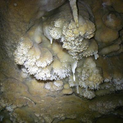 initiation à la spéléologie grotte de saint eucher