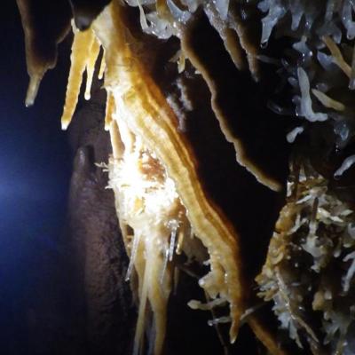  Gouffre l'eau delà du lac à la galerie du cheval de noûte