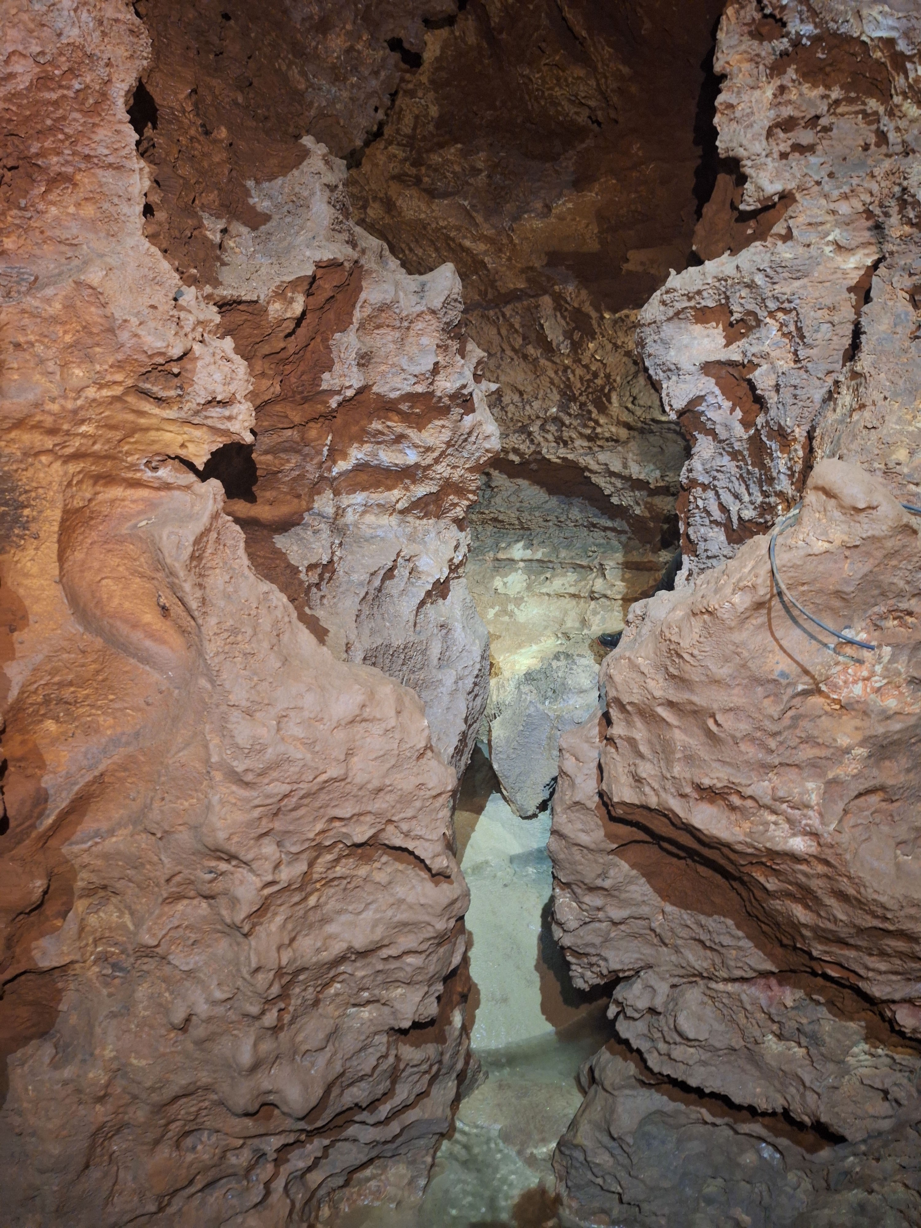 Petit saint cassien 12