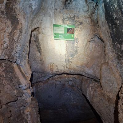 Reseau de la ripelle 14