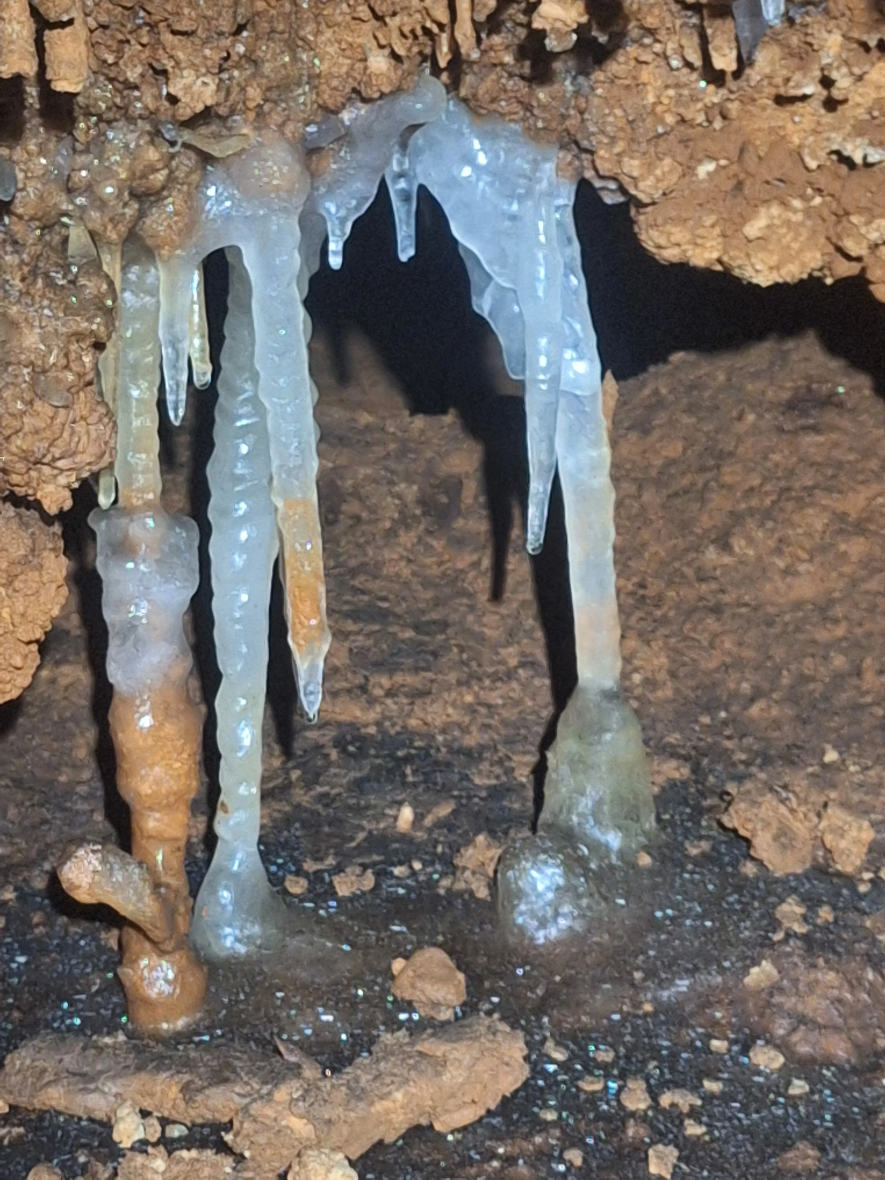 Saint marcel jour 1 12