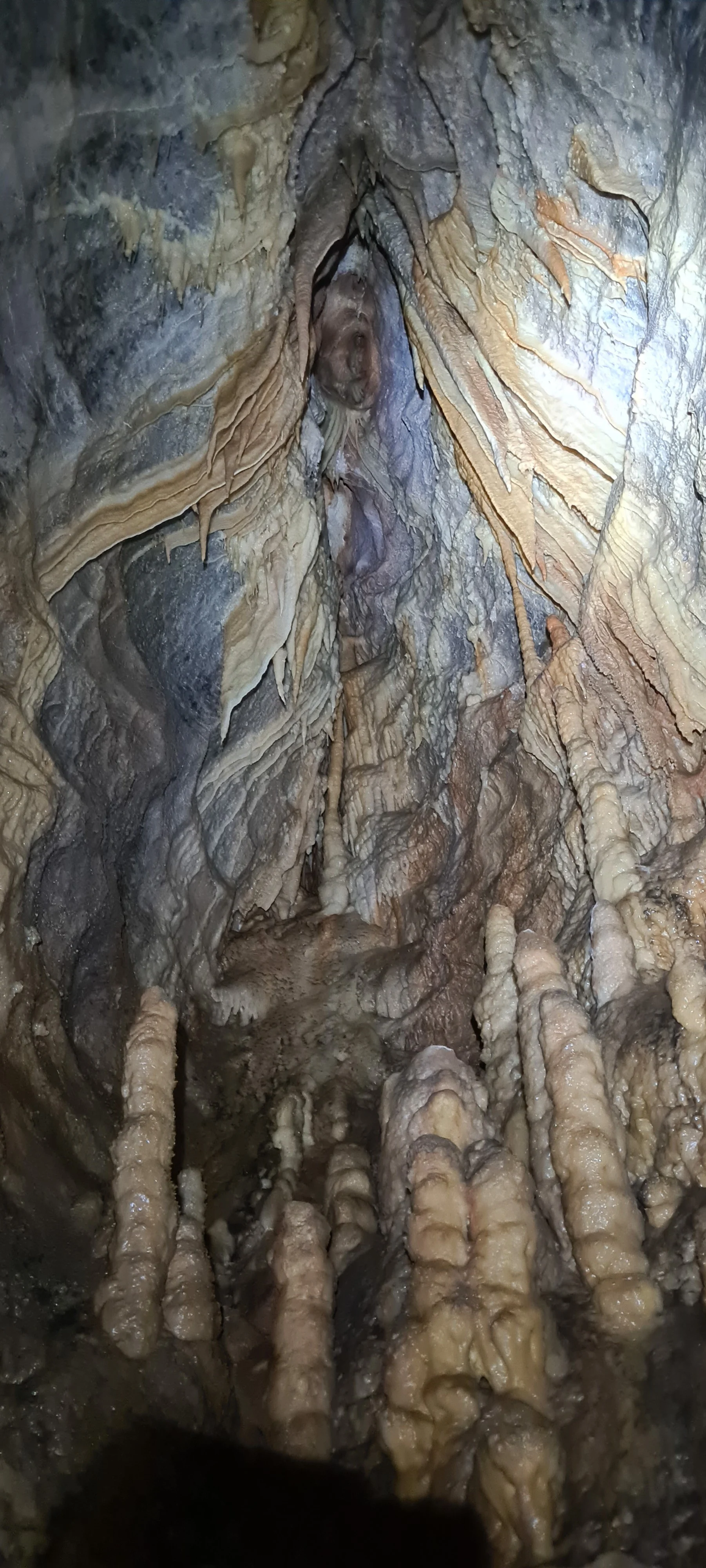 Saint marcel jour 1 18