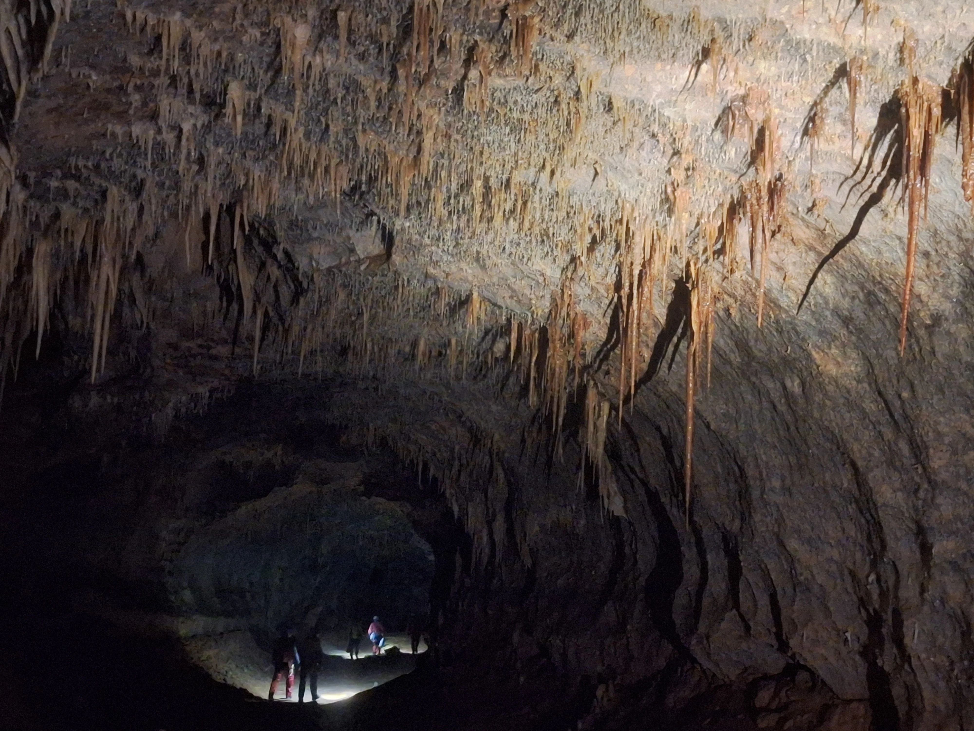 Saint marcel jour 1 7