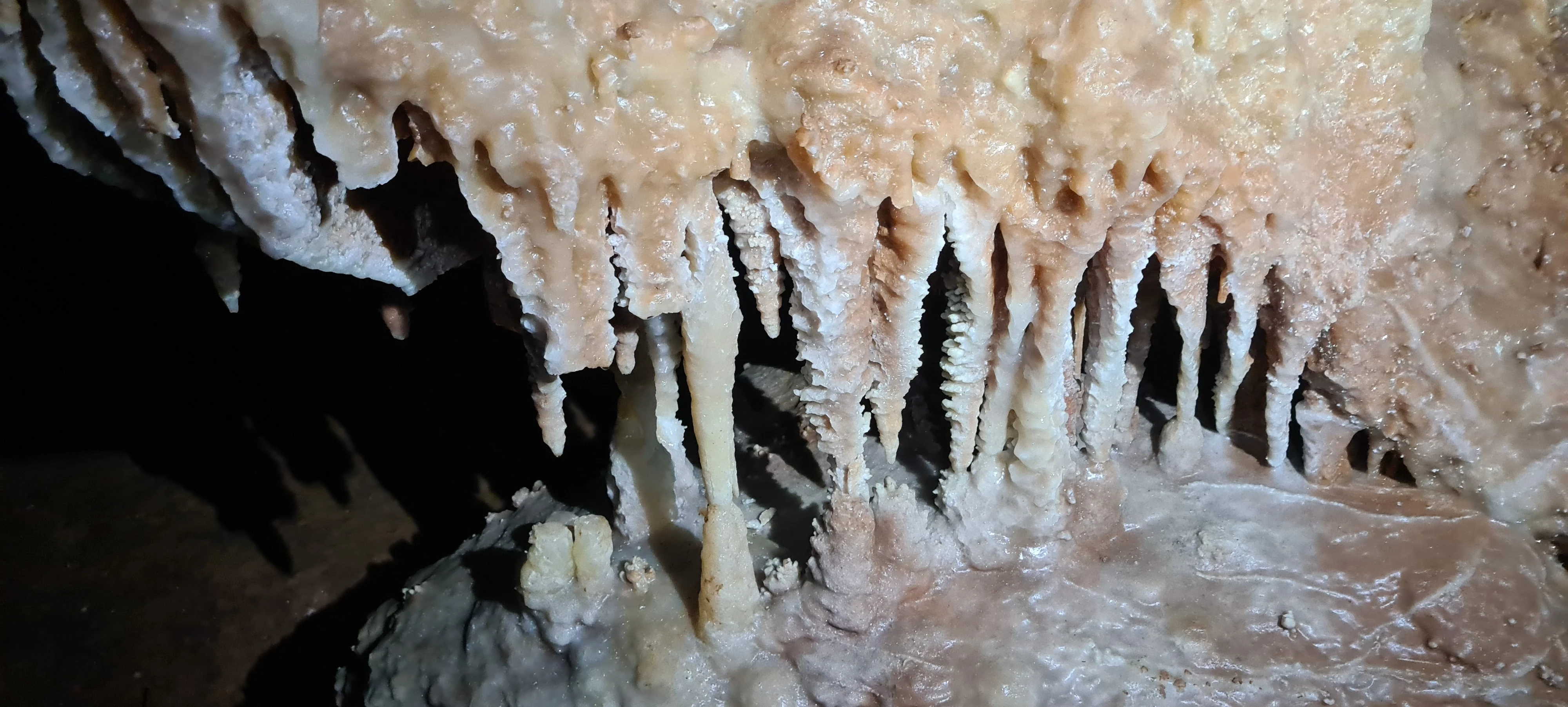 Saint marcel jour 1 9