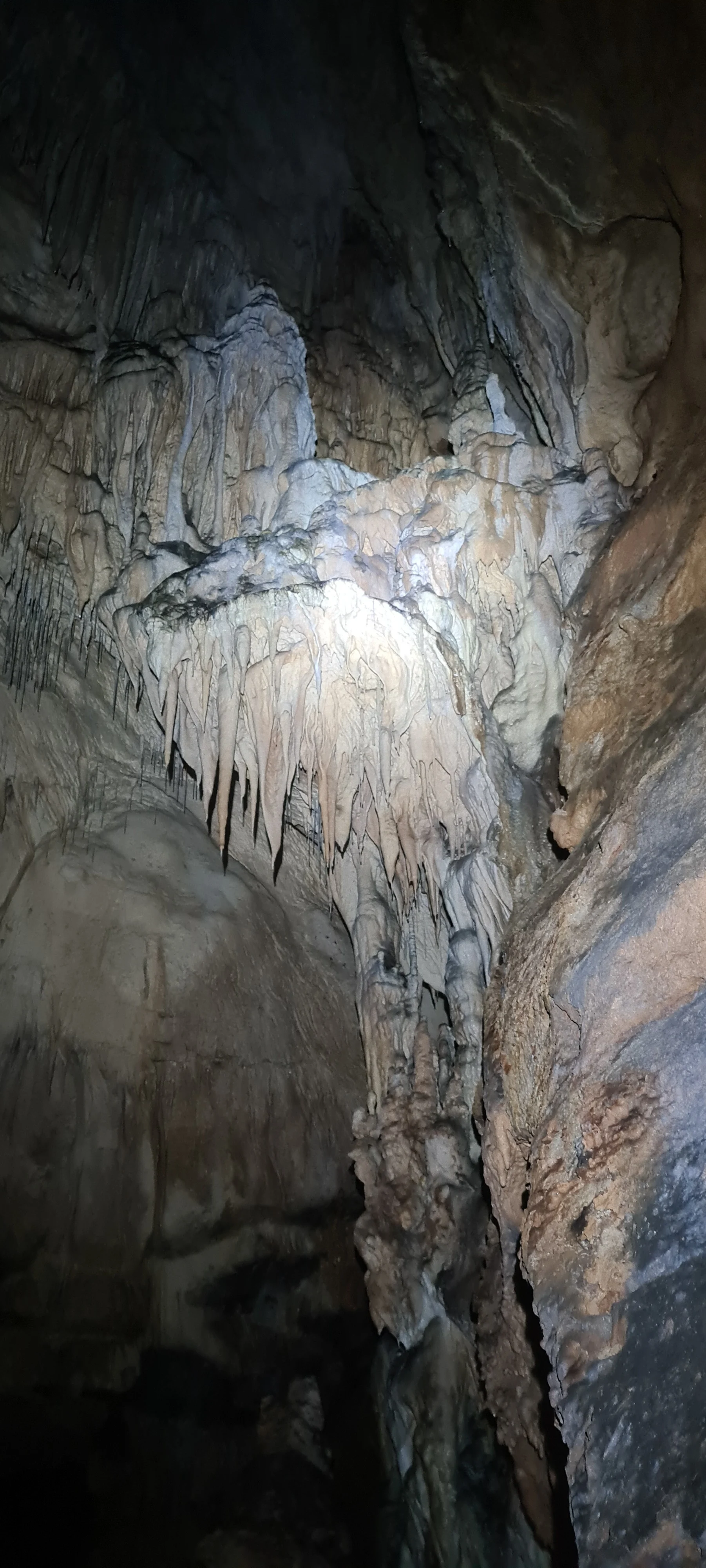 Saint marcel jour 2 3