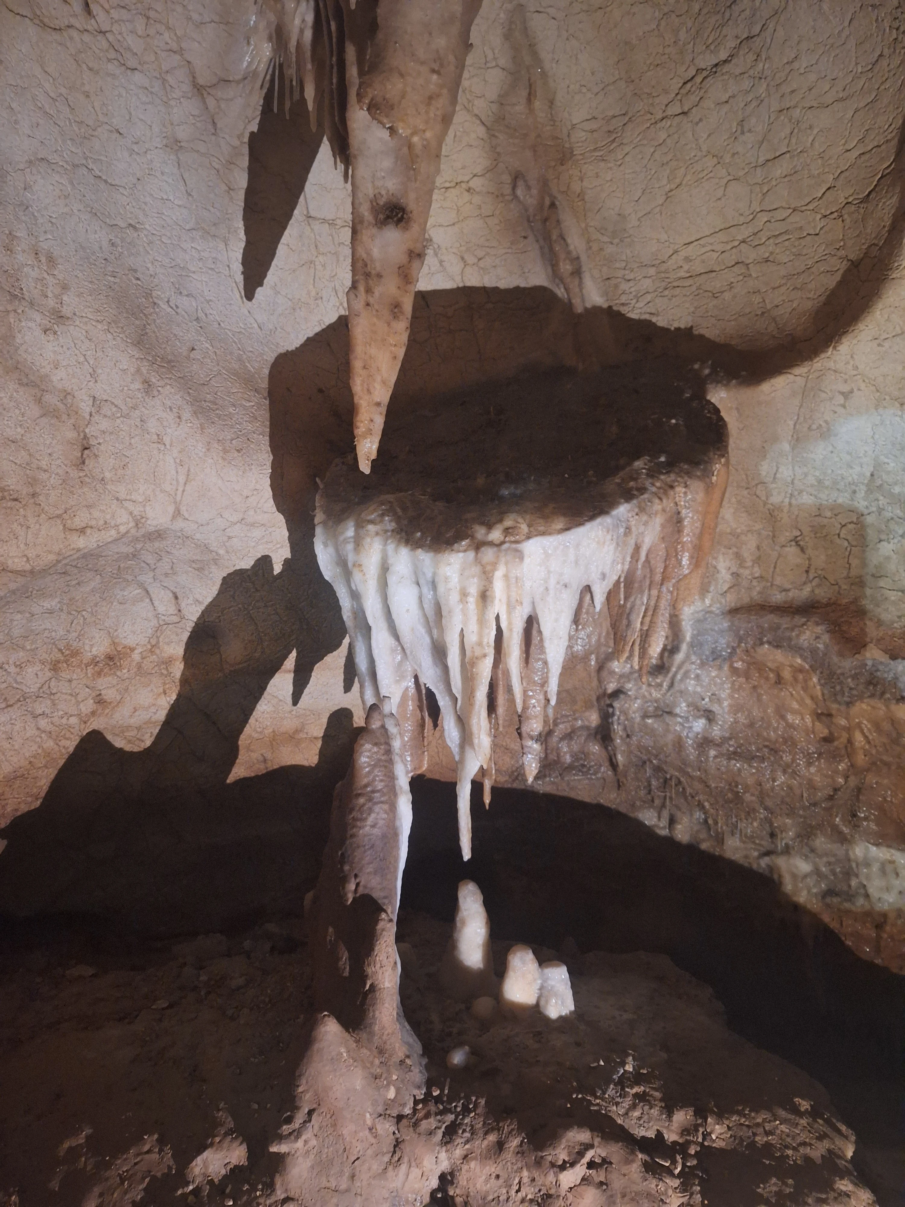 Saint marcel jour 2 9