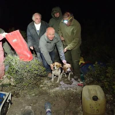 Secours chiens de chasse Pont de l'Etoile 02.2019